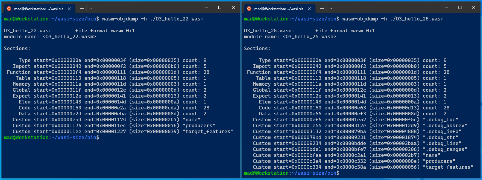 A comparison of sections between wasm modules